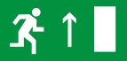 Е 12 Направление к эвакуационному выходу прямо - Изготовление знаков и стендов, услуги печати, компания «ЗнакЪ 96»